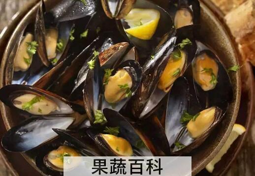 淡菜怎么吃 淡菜的食用方法大全