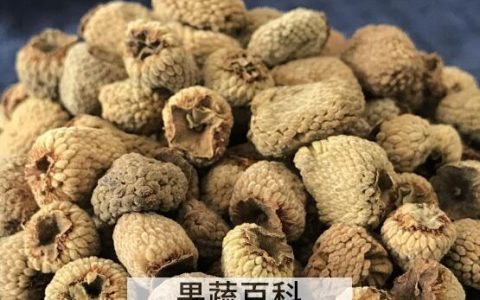 覆盆子茶的功效与作用 覆盆子茶怎么泡