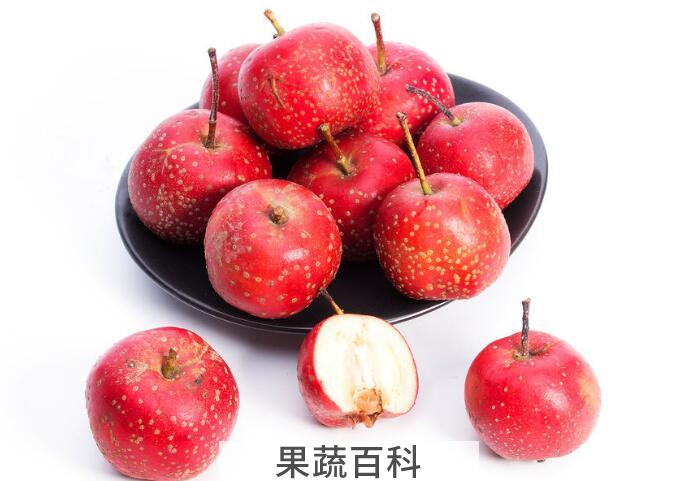 山楂的功效与作用介绍，为何人们如此深爱它？