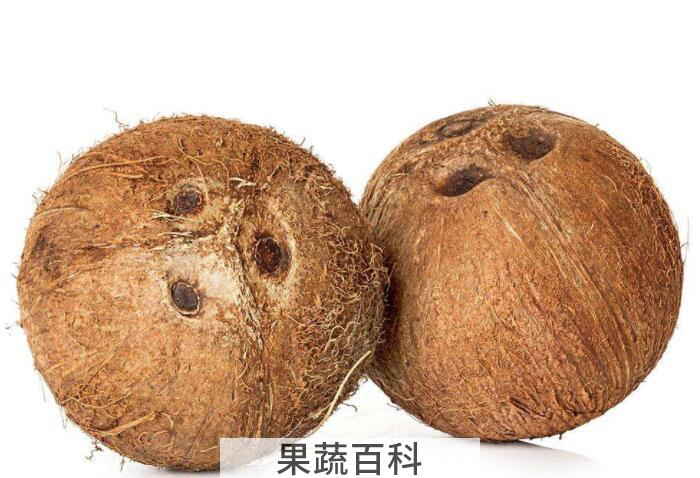 吃椰子防胀气消水肿，椰子的功效与作用竟然这样多