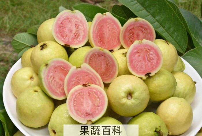番石榴的功效与作用，不仅味道清甜而且功效多多