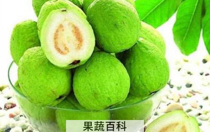 番石榴的功效与作用，不仅味道清甜而且功效多多