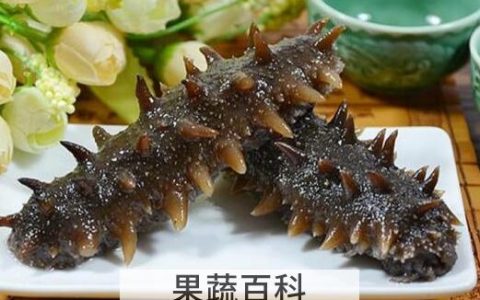 干海参怎么保存 干海参的正确保存方法
