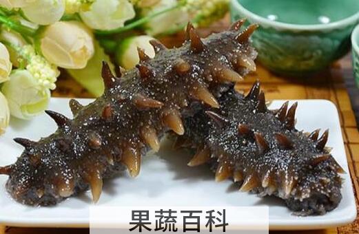 干海参怎么保存 干海参的正确保存方法