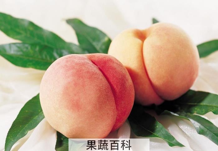 桃子的功效和作用，桃子的这5个作用你了解吗？