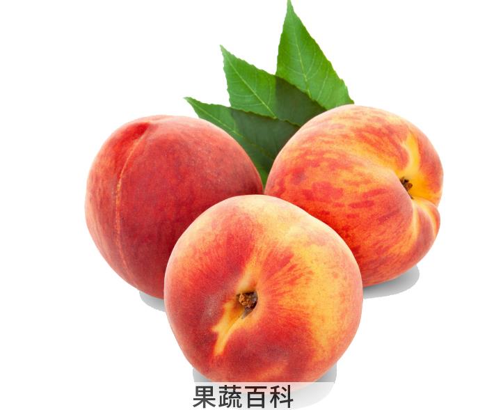 桃子的功效和作用，桃子的这5个作用你了解吗？