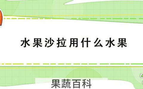 水果沙拉用什么水果