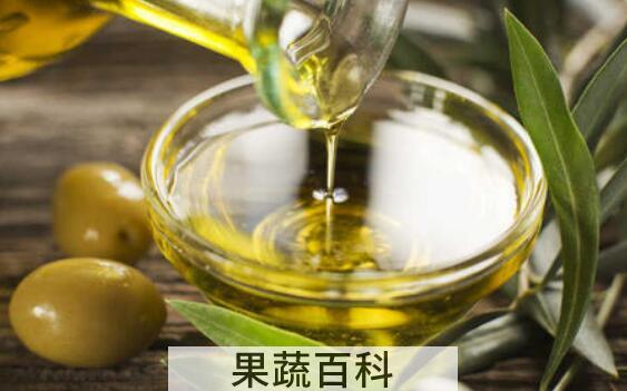 橄榄油的美容方法 食用橄榄油的美容作用
