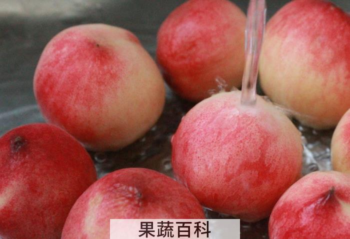 桃子的种植方法介绍，非常有用的栽培种植技术