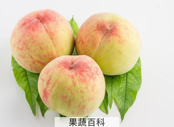 桃子的种植方法介绍，非常有用的栽培种植技术