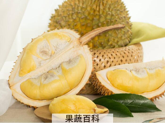 “热带水果之王”还能防癌抗癌？揭秘榴莲的功效与作用