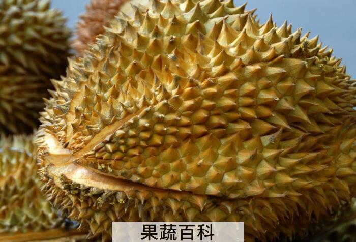 “热带水果之王”还能防癌抗癌？揭秘榴莲的功效与作用
