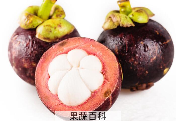 山竹降燥去火防口臭，细数那些你不知道的山竹的功效与作用