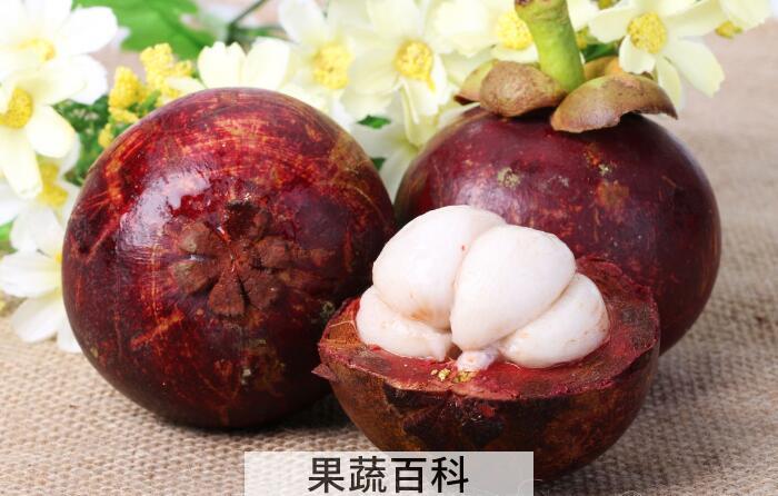 山竹降燥去火防口臭，细数那些你不知道的山竹的功效与作用