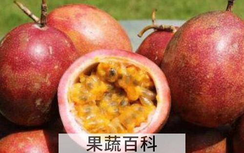 百香果怎么吃好 百香果的正确食用方法