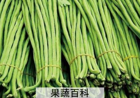 缸豆和豇豆有什么区别 吃豇豆的好处