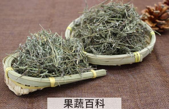 香薷泡茶有什么功效