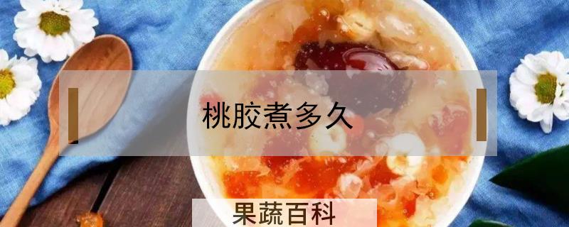 桃胶煮多久
