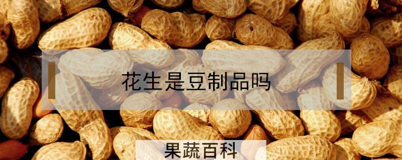 花生是豆制品吗