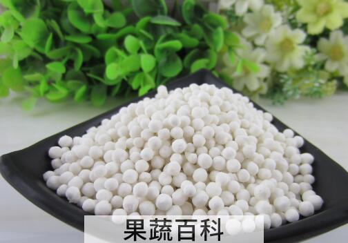 西谷米的功效与作用 西谷米的副作用