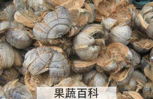 椰子外皮的功效与作用 吃椰子外皮的好处