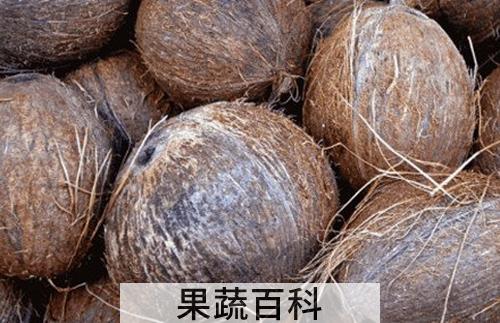 椰子外皮的功效与作用 吃椰子外皮的好处