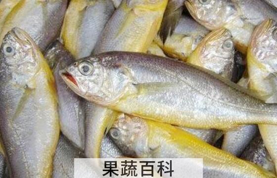 黄花鱼的营养价值 吃黄花鱼的好处