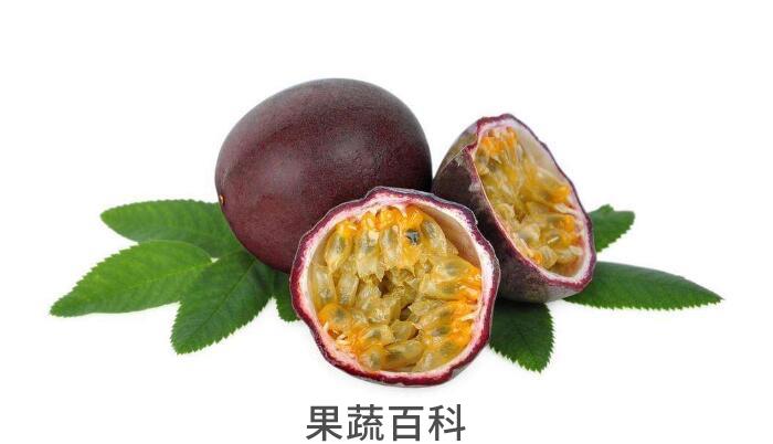 详解“果汁之王”西番莲的功效与作用