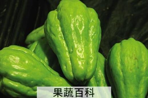 佛手瓜的功效与作用 吃佛手瓜的禁忌