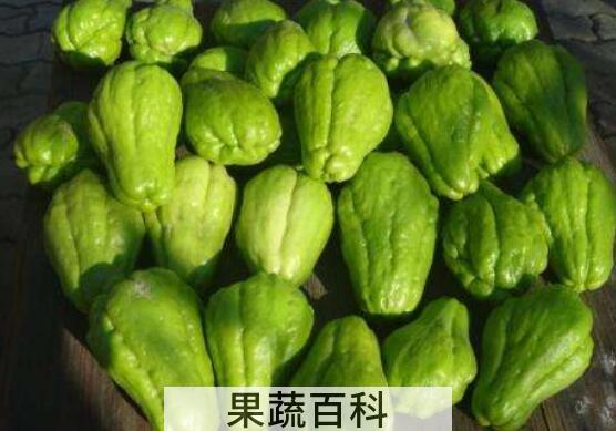 佛手瓜的功效与作用 吃佛手瓜的禁忌
