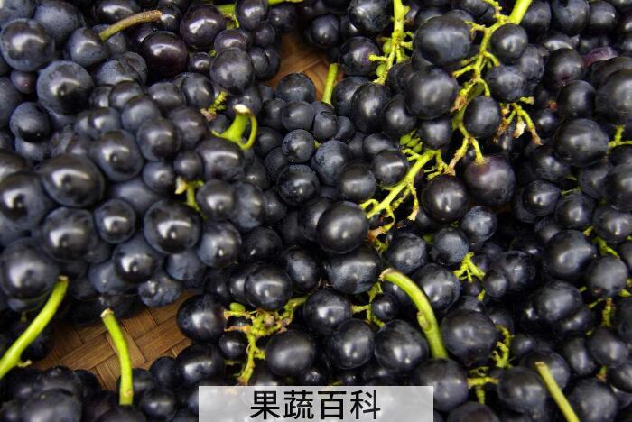 葡萄的功效与作用，每种颜色都具有不同的效果