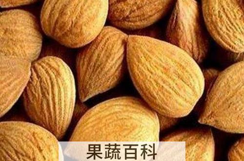 生甜杏仁的功效与作用 吃生甜杏仁的好处有哪些