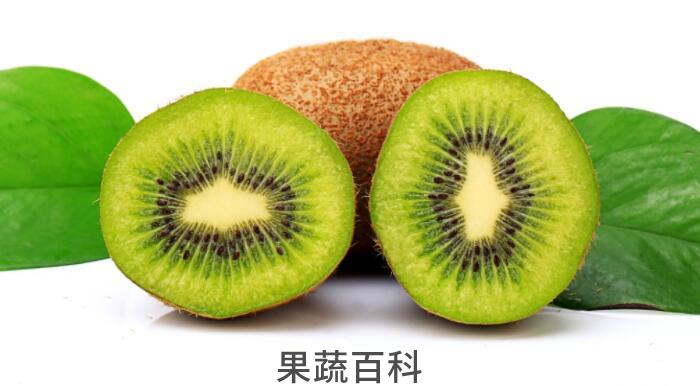 六个猕猴桃的功效与作用，“果中之王”名不虚传