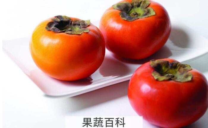你知道柿子的功效与作用吗？食用、药用功效两不误