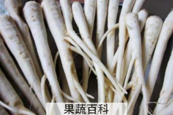 人参蔓菁的功效及副作用