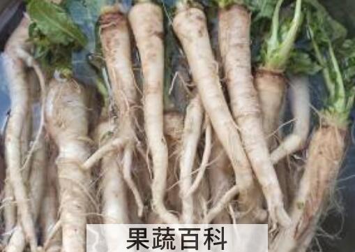 人参蔓菁的功效及副作用