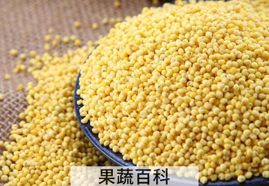 大黄米的功效与作用 大黄米的禁忌