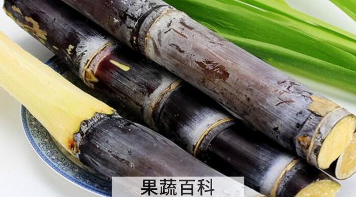 冬令佳果甘蔗的功效与作用，肉脆多汁怎么都吃不腻