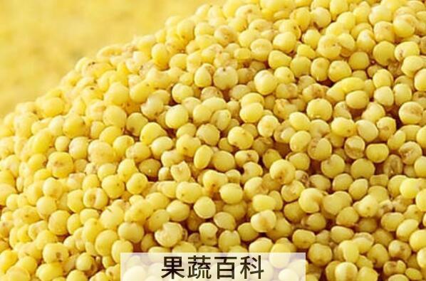 炒糜子的功效与作用