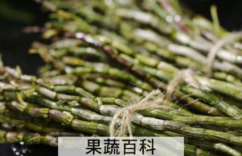 石斛的功效与作用及禁忌 石斛的最佳吃法
