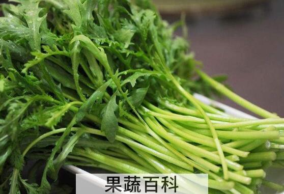 男人吃茼蒿有什么坏处