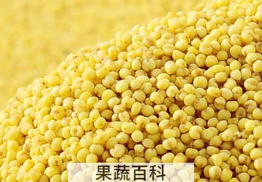 藜麦和糜子的区别