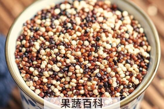 藜麦和糜子的区别