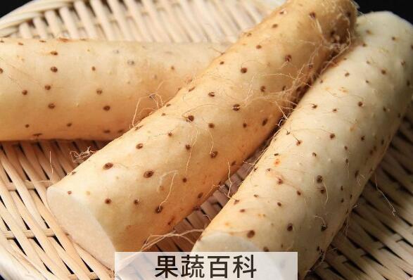 丰胸吃什么好 丰胸的食物有哪些