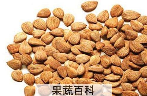 生苦杏仁的功效与作用