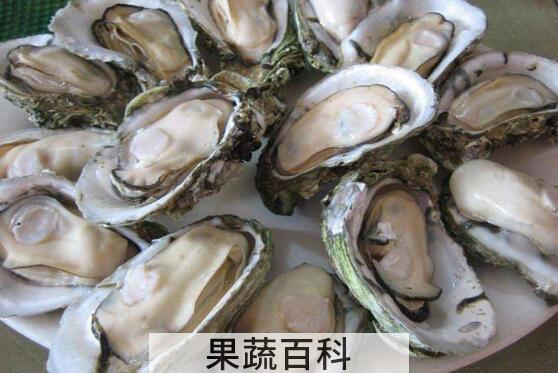 牡蛎怎么做好吃 牡蛎的最佳吃法