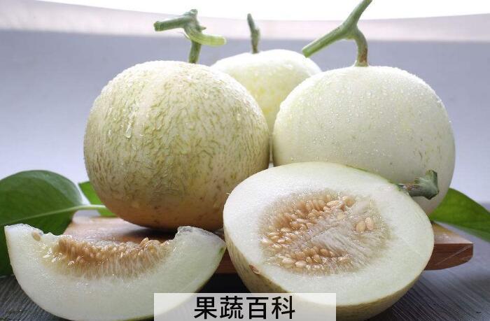 夏季甜瓜消暑解渴，甜瓜的功效与作用有哪些？