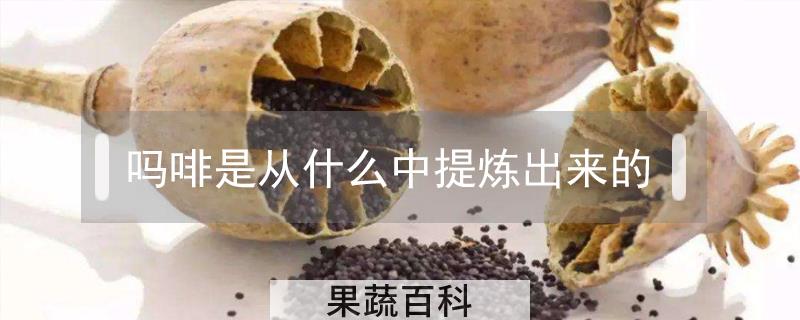 吗啡是从什么中提炼出来的