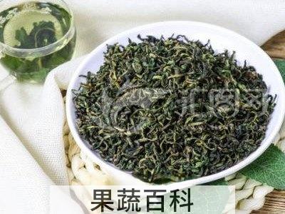  购买蒲公英茶的方法技巧 