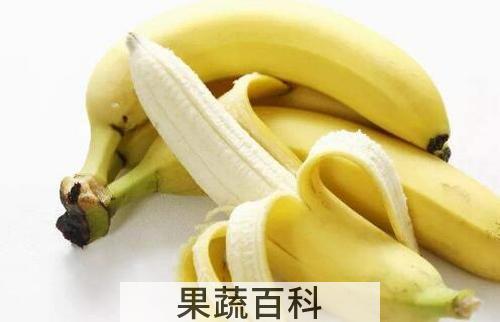 香蕉皮的功效作用 香蕉皮的药用价值